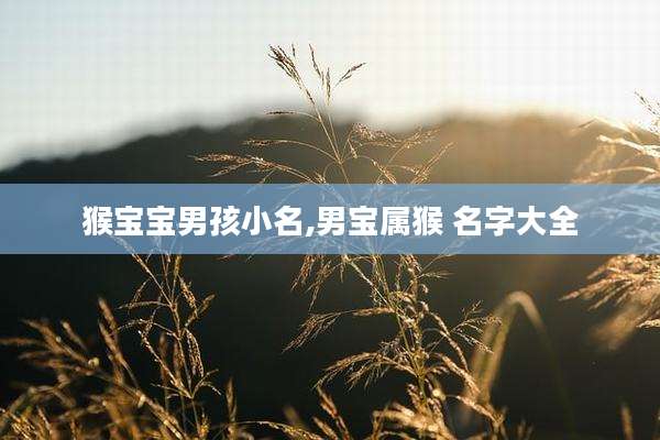 猴宝宝男孩小名,男宝属猴 名字大全