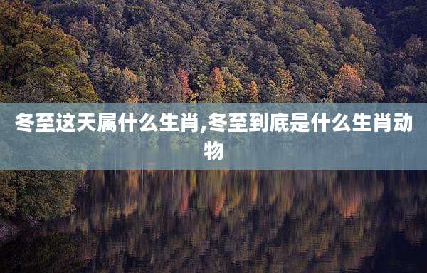 冬至这天属什么生肖,冬至到底是什么生肖动物