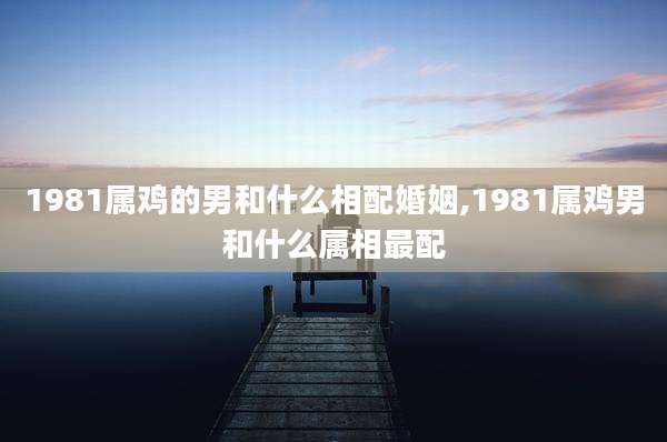 1981属鸡的男和什么相配婚姻,1981属鸡男和什么属相最配