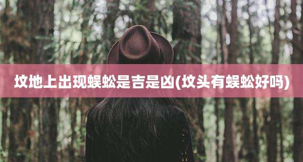 坟地上出现蜈蚣是吉是凶(坟头有蜈蚣好吗)