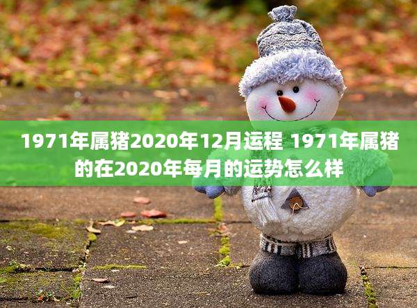1971年属猪2020年12月运程 1971年属猪的在2020年每月的运势怎么样