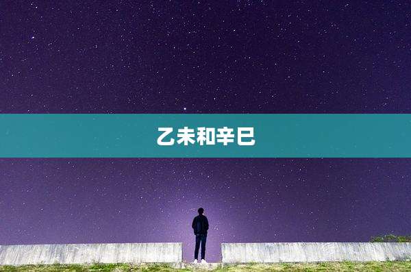 乙未和辛巳