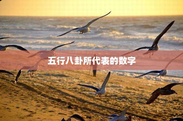 五行八卦所代表的数字