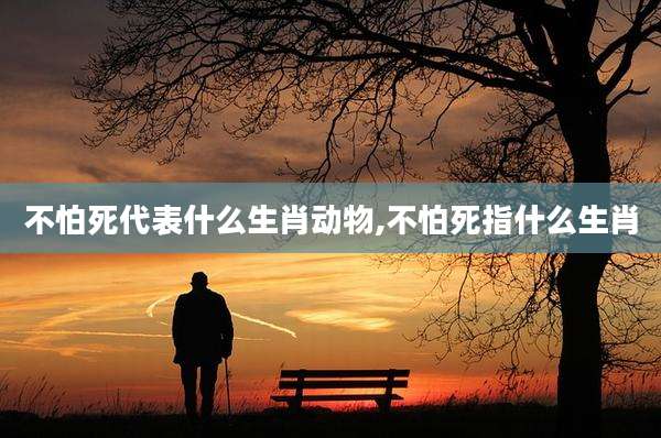 不怕死代表什么生肖动物,不怕死指什么生肖