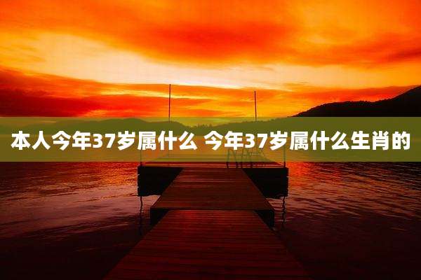 本人今年37岁属什么 今年37岁属什么生肖的