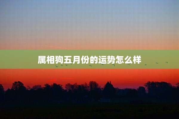 属相狗五月份的运势怎么样