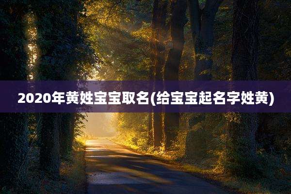 2020年黄姓宝宝取名(给宝宝起名字姓黄)