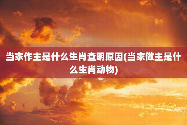 当家作主是什么生肖查明原因(当家做主是什么生肖动物)