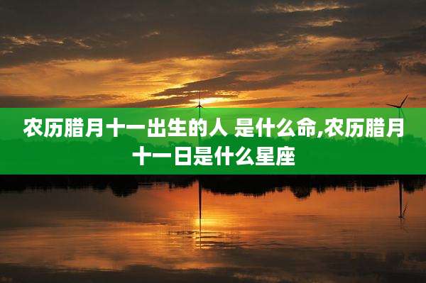 农历腊月十一出生的人 是什么命,农历腊月十一日是什么星座