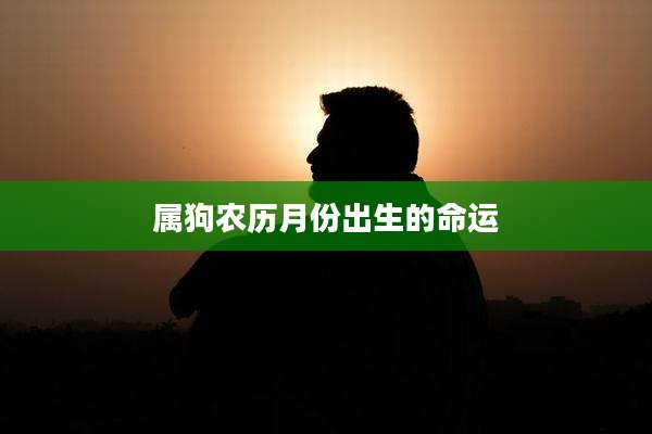 属狗农历月份出生的命运