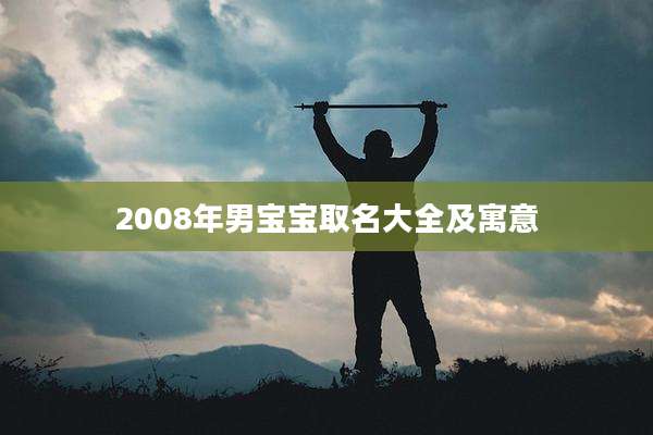 2008年男宝宝取名大全及寓意