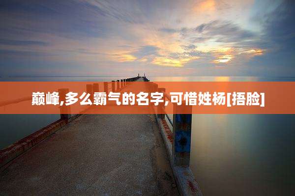 巅峰,多么霸气的名字,可惜姓杨[捂脸]