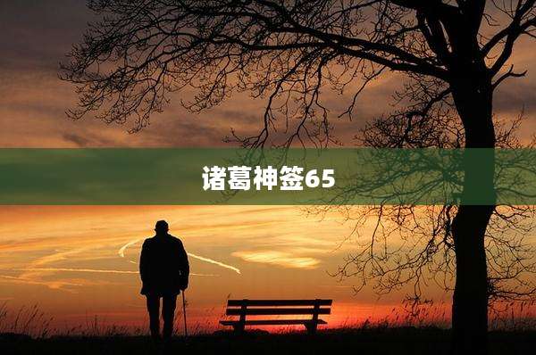 诸葛神签65