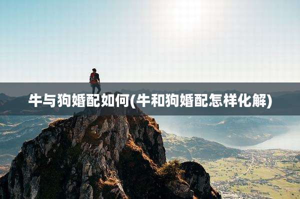 牛与狗婚配如何(牛和狗婚配怎样化解)