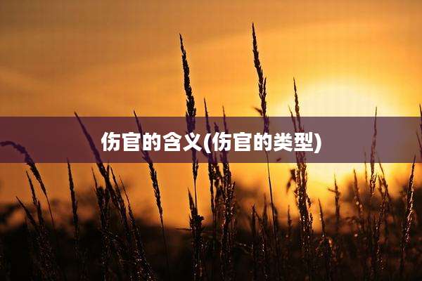 伤官的含义(伤官的类型)
