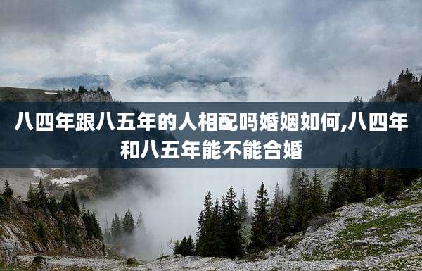 八四年跟八五年的人相配吗婚姻如何,八四年和八五年能不能合婚