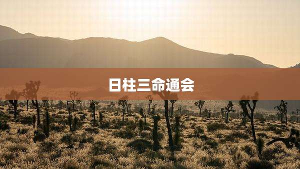 日柱三命通会