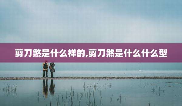 剪刀煞是什么样的,剪刀煞是什么什么型