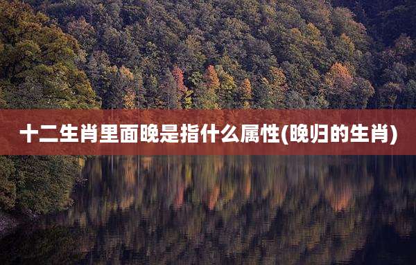 十二生肖里面晚是指什么属性(晚归的生肖)