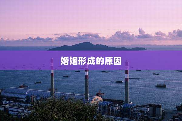 婚姻形成的原因