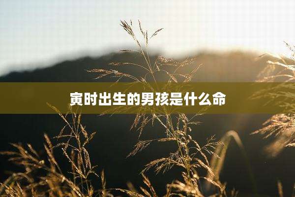 寅时出生的男孩是什么命
