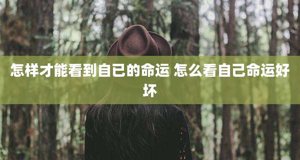 怎样才能看到自已的命运 怎么看自己命运好坏