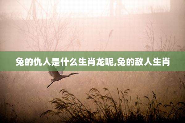 兔的仇人是什么生肖龙呢,兔的敌人生肖