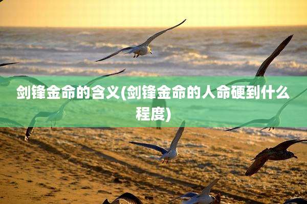 剑锋金命的含义(剑锋金命的人命硬到什么程度)