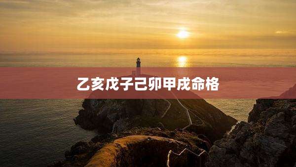 乙亥戊子己卯甲戌命格