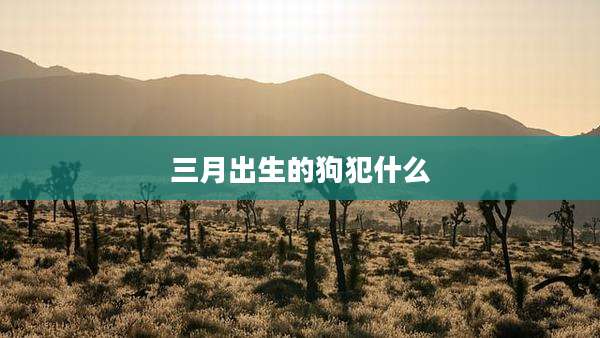 三月出生的狗犯什么