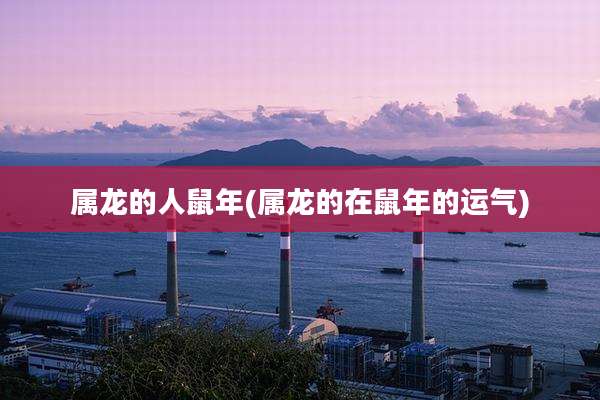 属龙的人鼠年(属龙的在鼠年的运气)