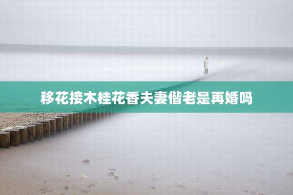 移花接木桂花香夫妻偕老是再婚吗