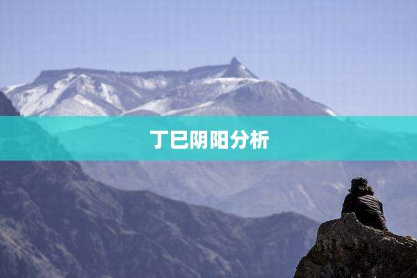 丁巳阴阳分析