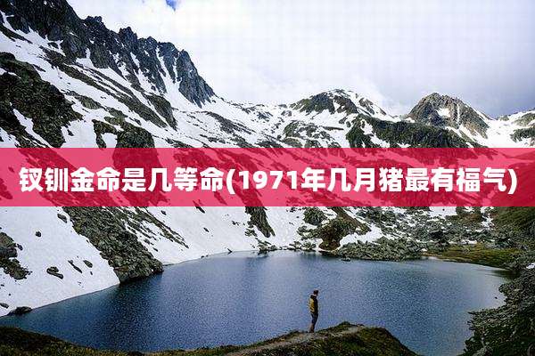 钗钏金命是几等命(1971年几月猪最有福气)