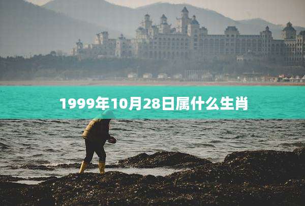 1999年10月28日属什么生肖