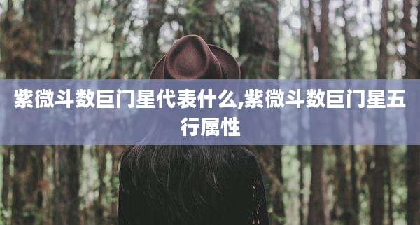 紫微斗数巨门星代表什么,紫微斗数巨门星五行属性
