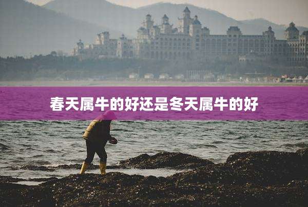 春天属牛的好还是冬天属牛的好