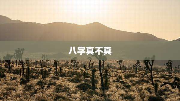 八字真不真
