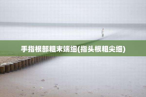 手指根部粗末端细(指头根粗尖细)