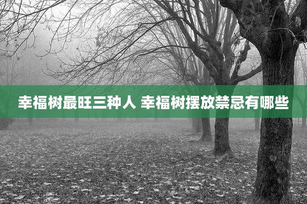 幸福树最旺三种人 幸福树摆放禁忌有哪些
