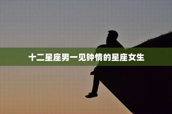 十二星座男一见钟情的星座女生