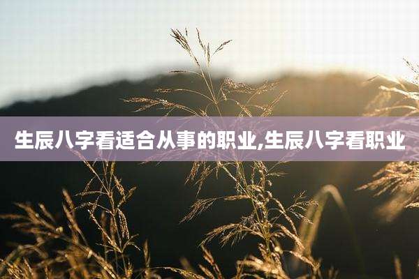 生辰八字看适合从事的职业,生辰八字看职业