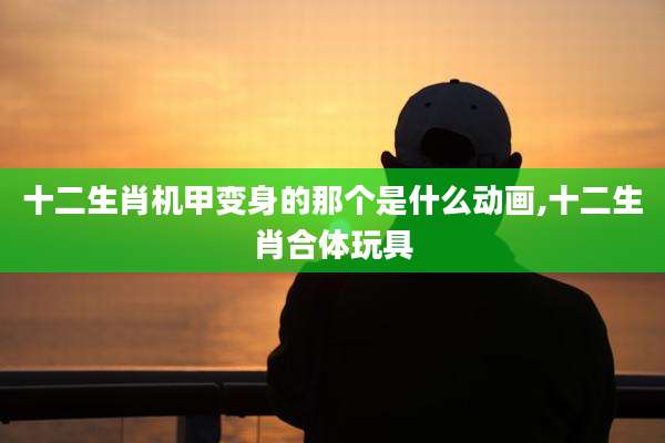 十二生肖机甲变身的那个是什么动画,十二生肖合体玩具