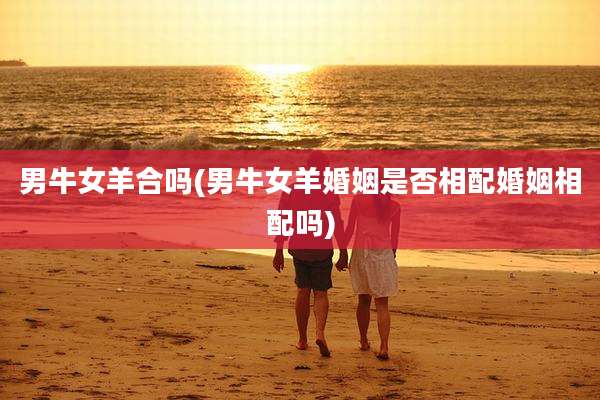 男牛女羊合吗(男牛女羊婚姻是否相配婚姻相配吗)