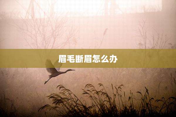 眉毛断眉怎么办