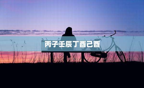 丙子壬辰丁酉己酉