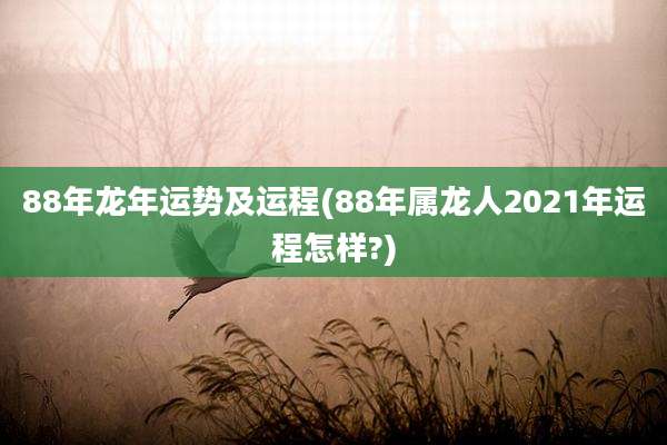 88年龙年运势及运程(88年属龙人2021年运程怎样?)
