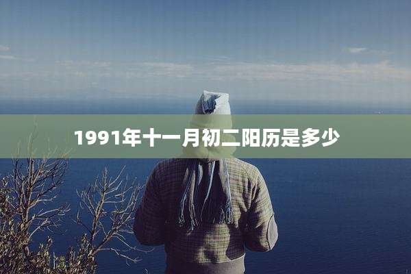 1991年十一月初二阳历是多少