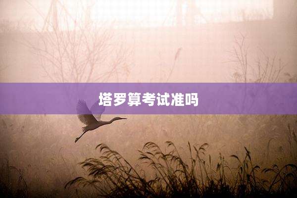 塔罗算考试准吗
