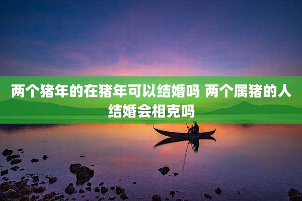 两个猪年的在猪年可以结婚吗 两个属猪的人结婚会相克吗